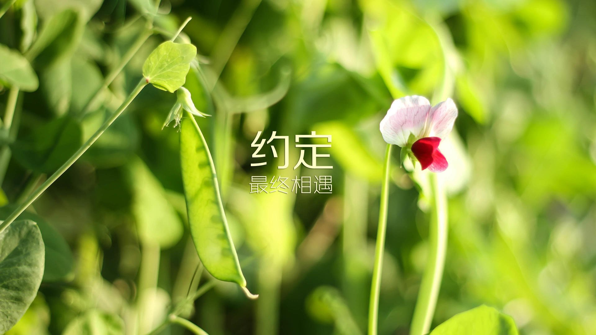 九游网页版官网入口-《Uzi：电竞传奇的再度崛起，粉丝期待新纪录》，电竞传奇uzi什么时候出现