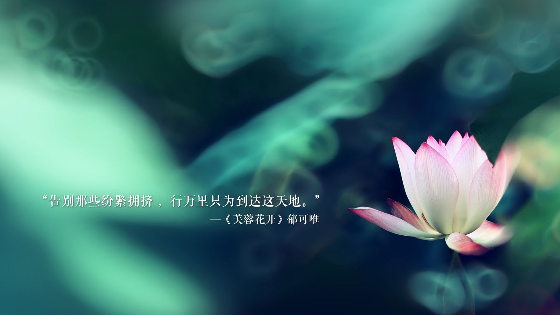 篮球教练员专项技能竞赛活动开展，篮球教练考核标准与细则