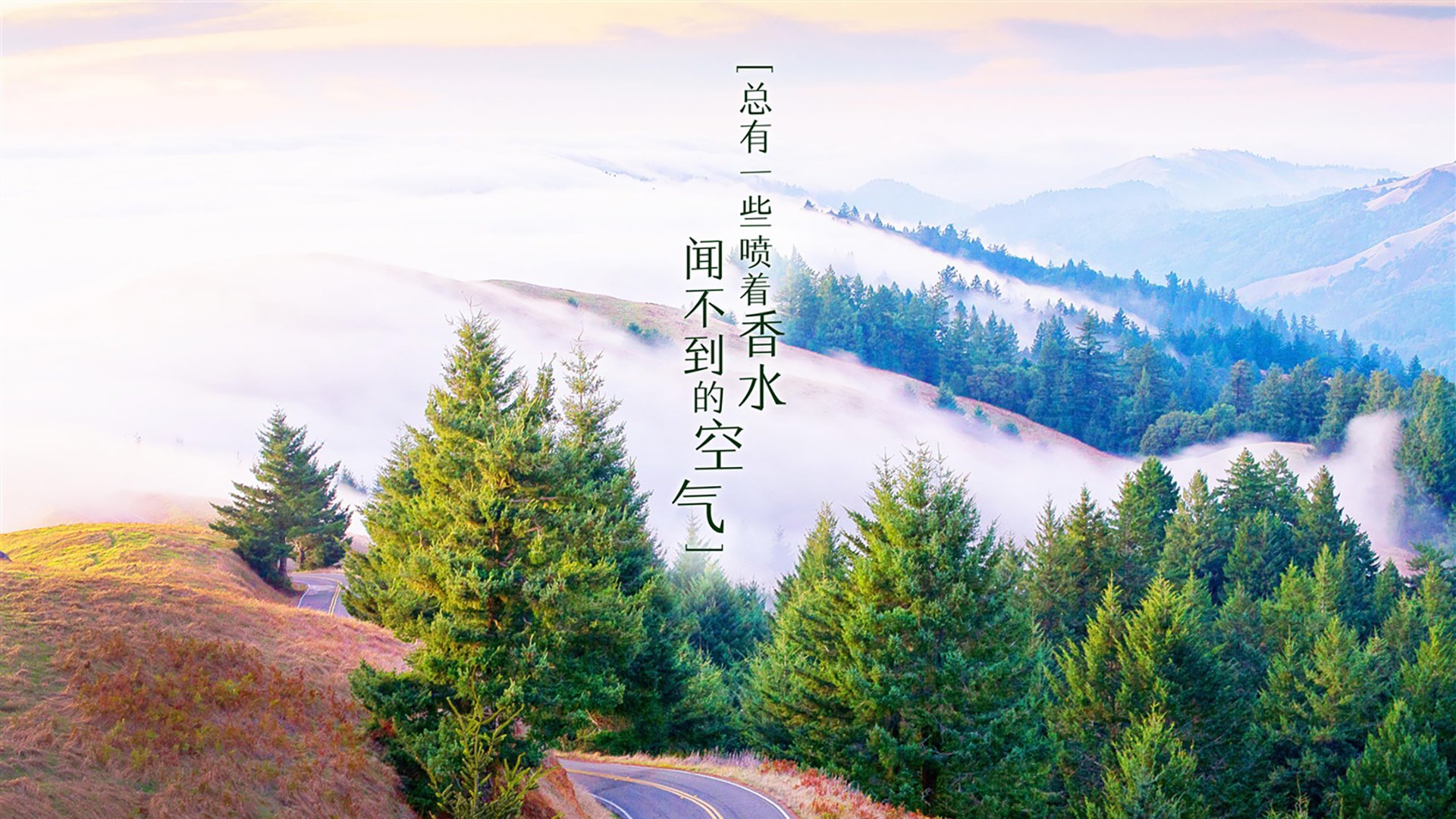 积分榜分析：哪些球队未来能继续保持强势？，得分球队