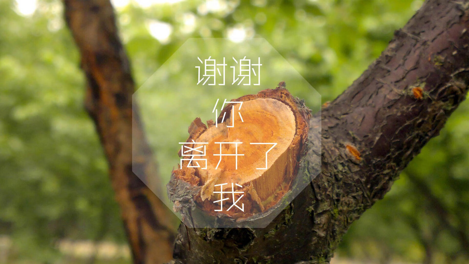 自动化裁判技术应用于重大电竞赛事，提升公正性