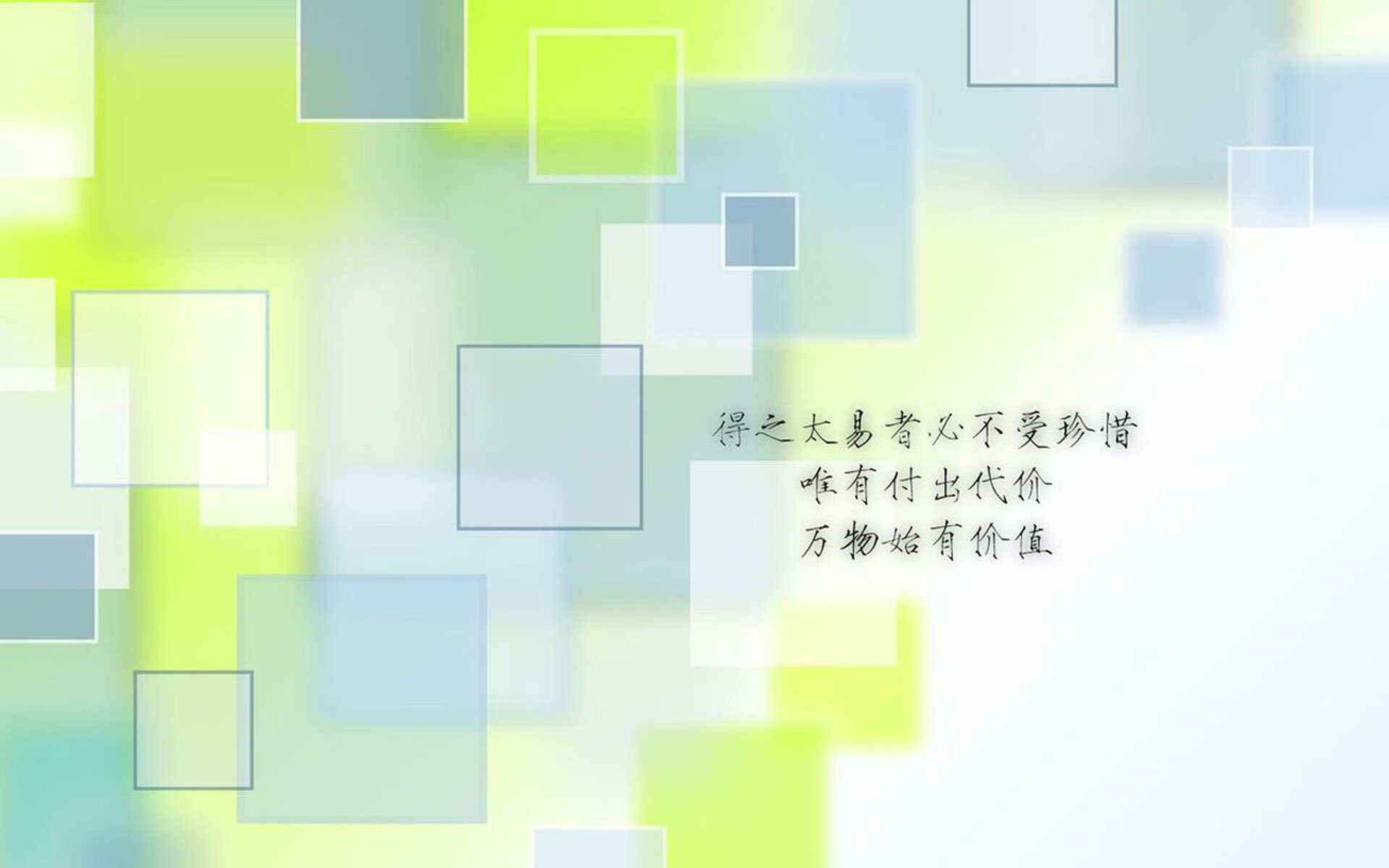 九游（jiuyou.com）游戏-荷兰马术协会建立马匹基因数据库，促进马匹选育与训练。，荷兰马长什么样