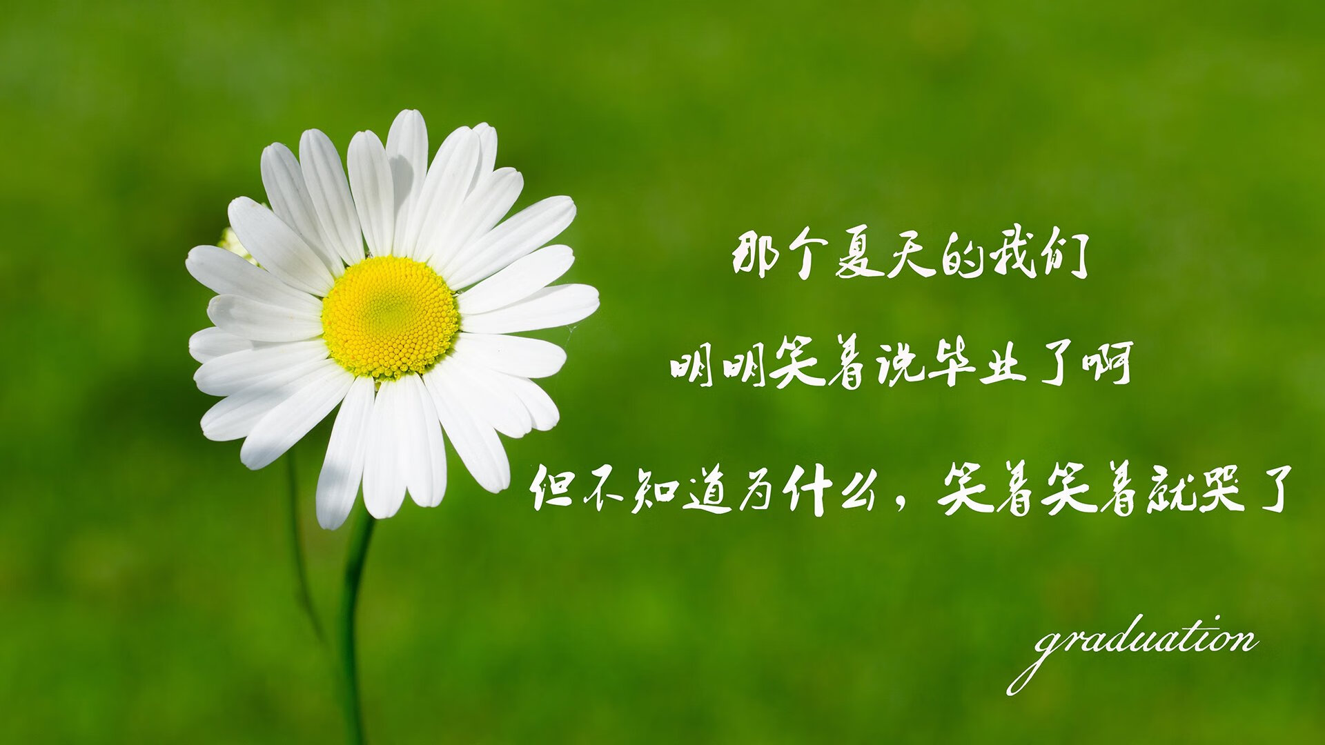 世界击剑大奖赛中国队包揽女子团体金银，世界击剑冠军