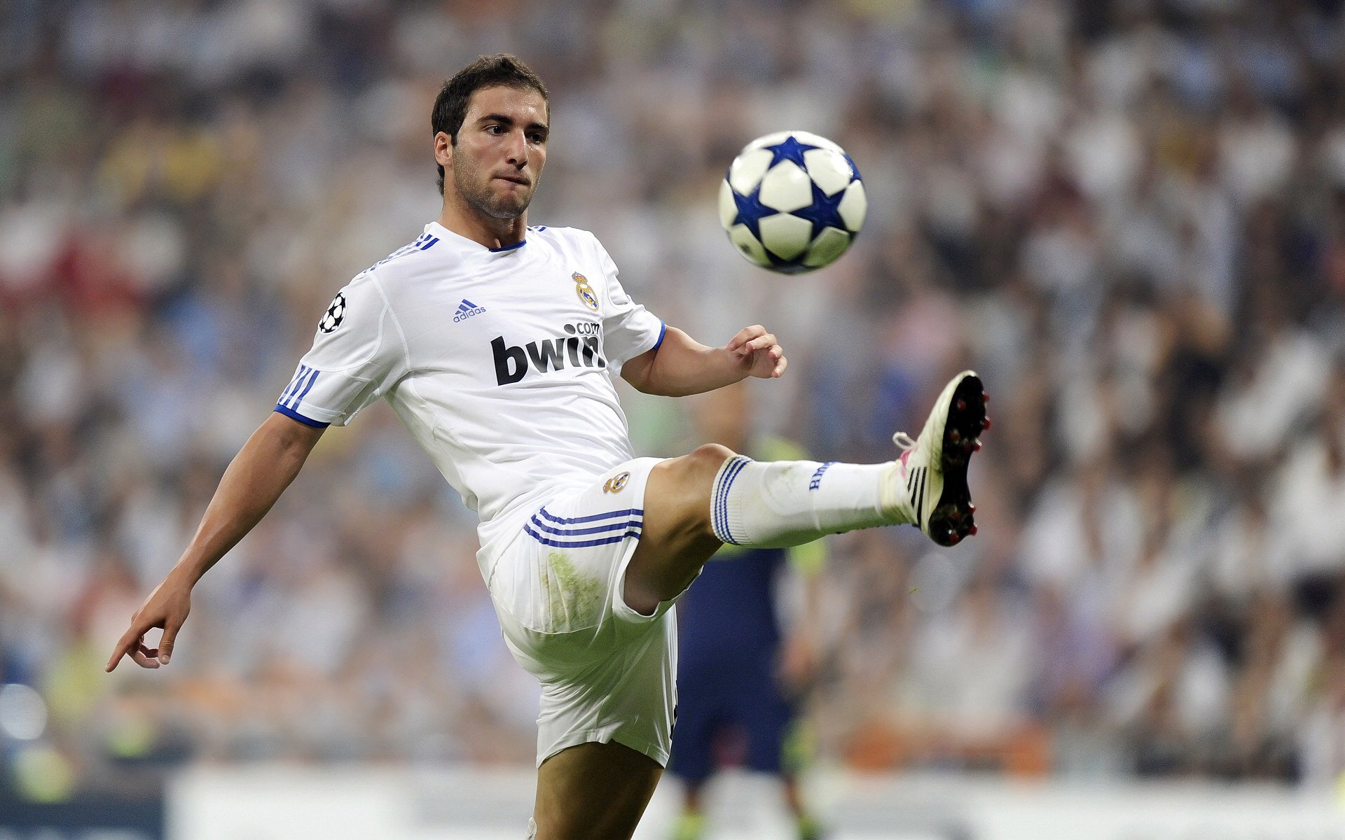 九游体育入口-德甲青训体系渐成效，精彩表现引赞赏，德甲新人